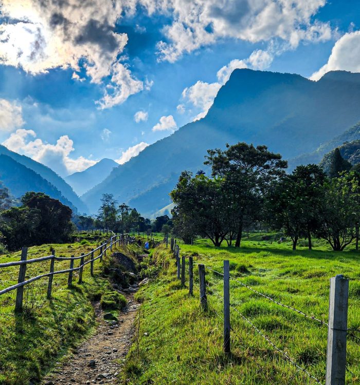 TOP 5 Best Birding Spots in Central Andes, Colombia